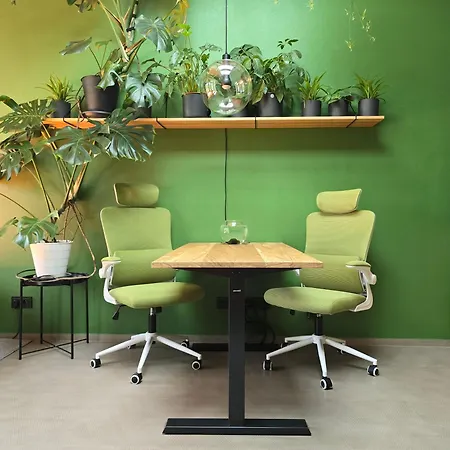 Revitalizer - A Calm Oasis In The Center Of Brno Exterior photo