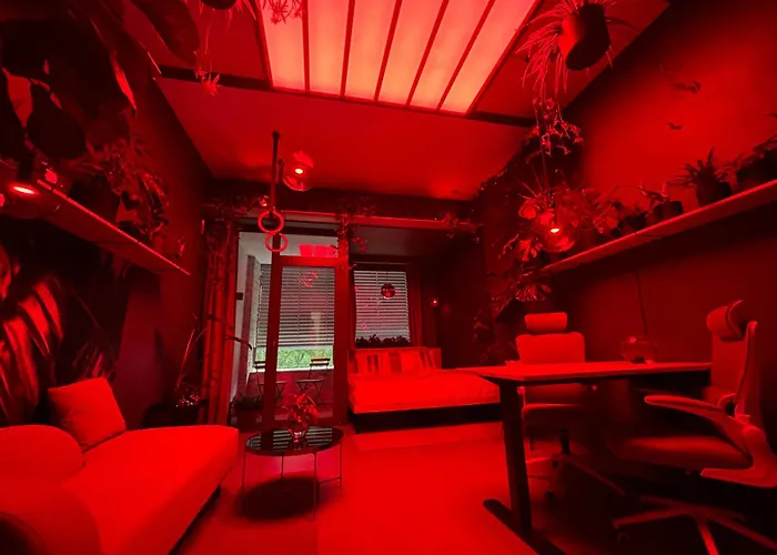 Revitalizer - A Calm Oasis In The Center Of Brno