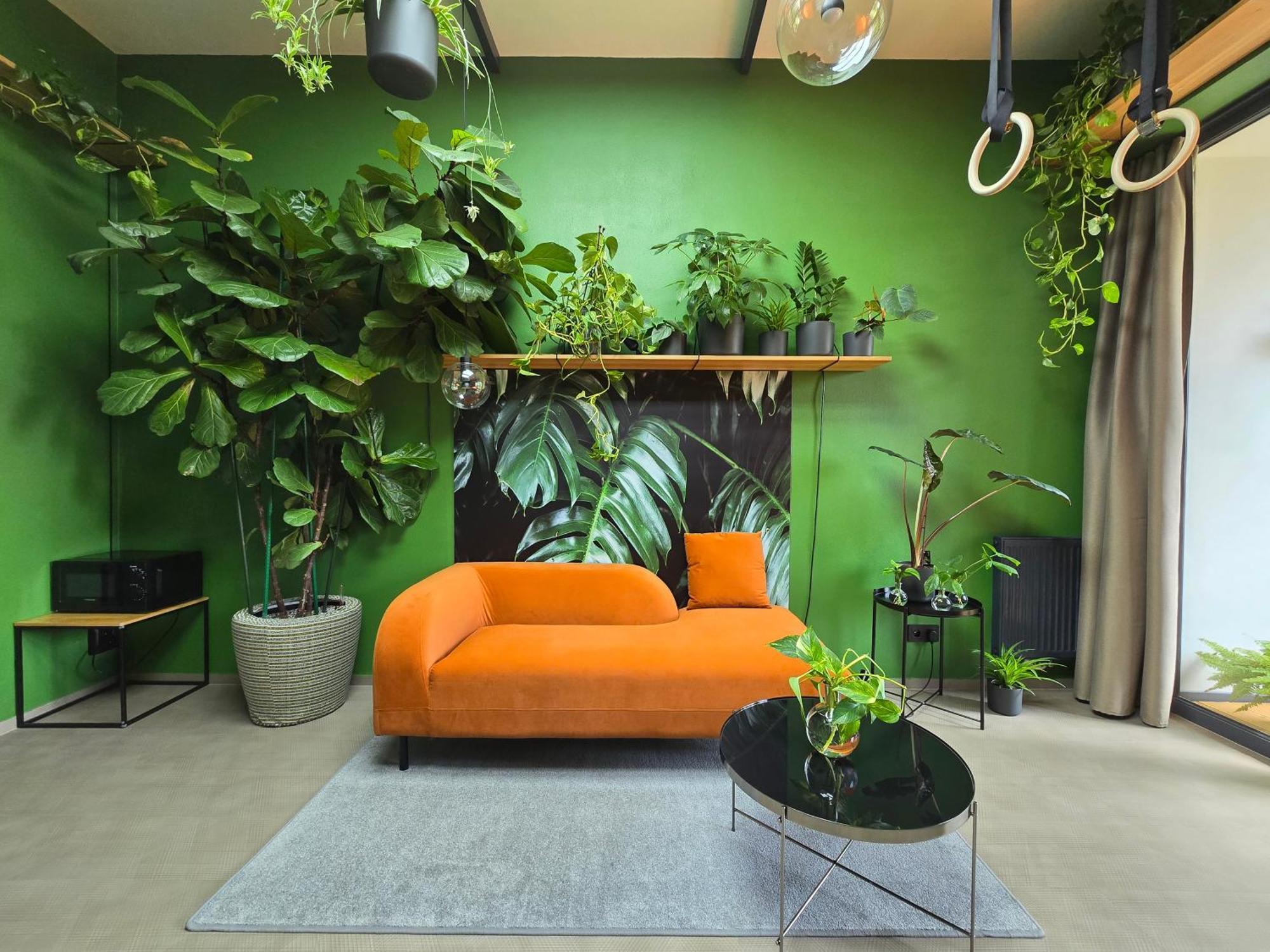 Apartment Revitalizer - A Calm Oasis In The Center Of Brno